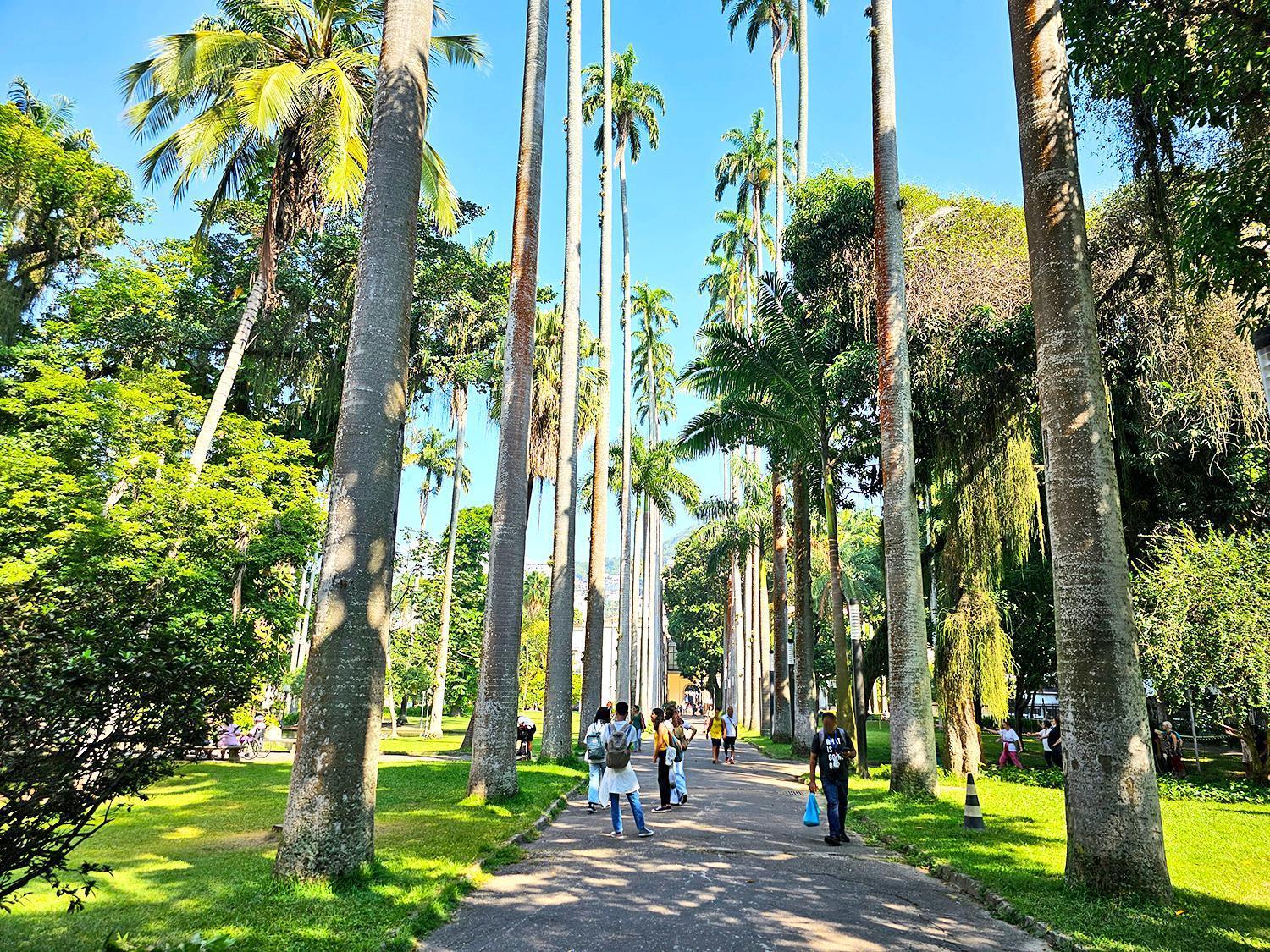 Apartamento Na Zona Sul Do Rio Rio de Janeiro Exteriér fotografie